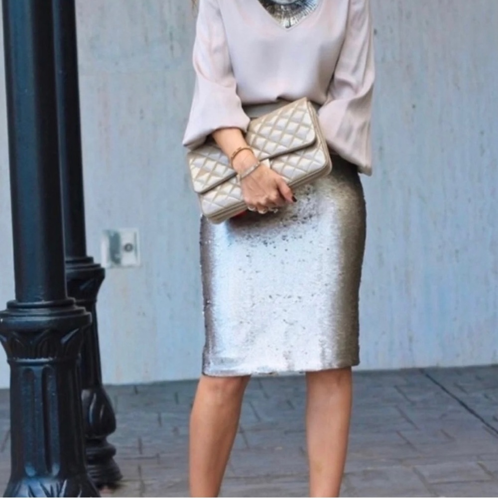Banana Republic Matte Silver Sequin Pencil Skirt 10 Glam Holiday NYE - Picture 2 of 11